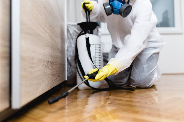 Best Termite Control Services  in Stanley, VA