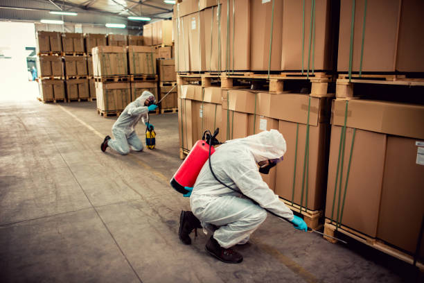 Best Wasp Removal Services  in Stanley, VA