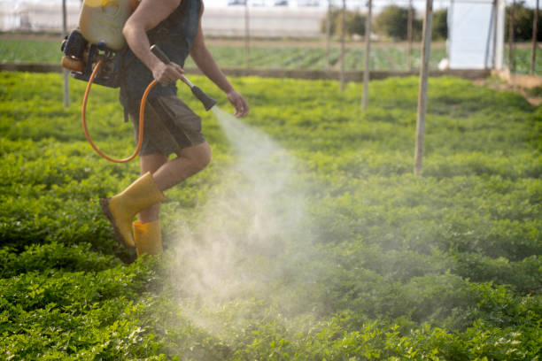 Best Pest Control Cost  in Stanley, VA
