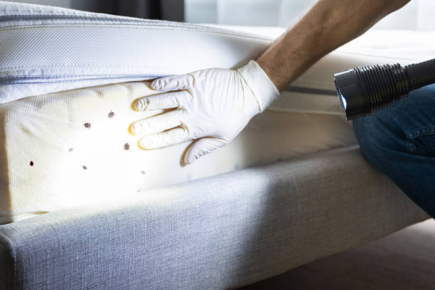 Pest Prevention Services in Stanley, VA