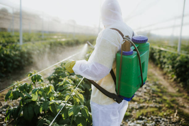Best Cockroach Control Services  in Stanley, VA